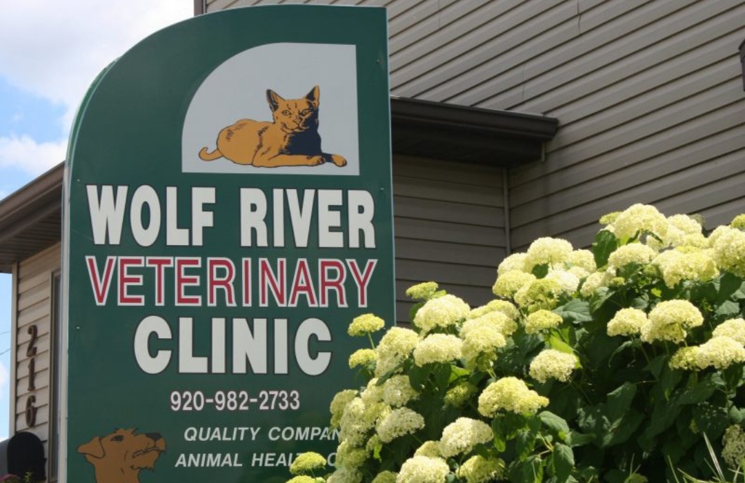 Wolf River Veterinary Clinic Signage