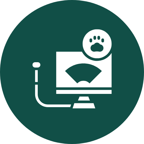 detection testing icon diagnostics icon