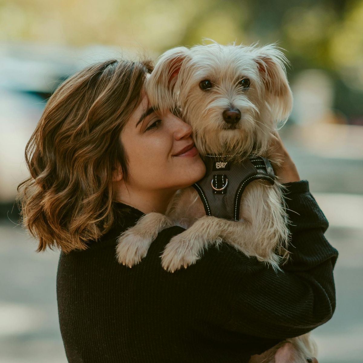 lady holding dog A lady hugging a dog