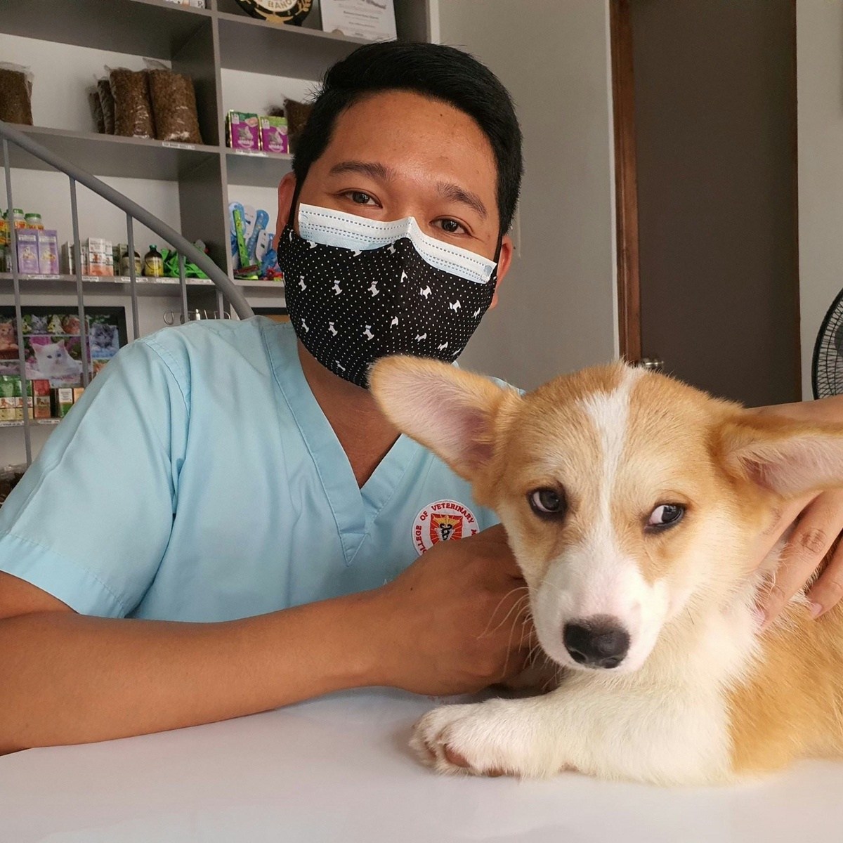 man in a mask holds a dog man in a mask holds a dog