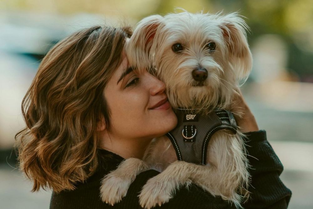 A woman with a cute dog A woman with a cute dog